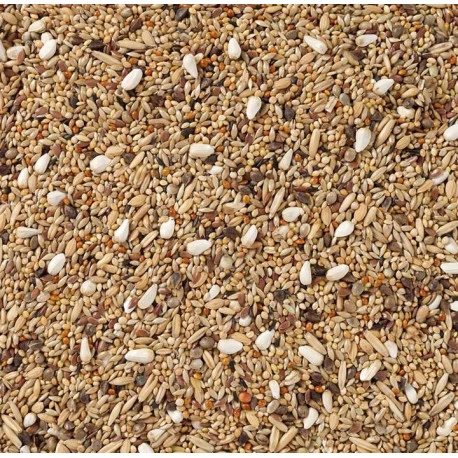 68 - Grandes Perruches Sans Tournesols 20kg - Deli Nature 2 68 - Grandes Perruches Sans Tournesols 20kg - Deli Nature - Afbeelding 2