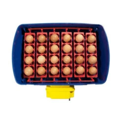 Couveuse Automatique REAL 24 -VERSELE-LAGA || Deli Nature || Duvo Verkoopwinkel couveuse automatique real 24 2