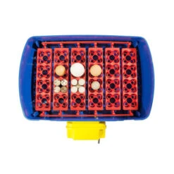 Couveuse Automatique REAL 24 -VERSELE-LAGA || Deli Nature || Duvo Verkoopwinkel couveuse automatique real 24 3