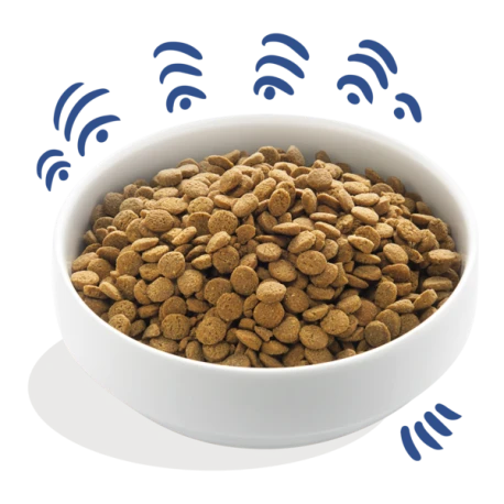 Croquettes Adult Saumon Norvégien Frais 2,5kg - Edgard Et Cooper 2 Croquettes Adult Saumon Norvégien Frais 2,5kg - Edgard Et Cooper - Afbeelding 2