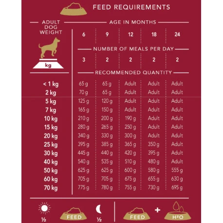 Delcon Junior 12kg 1 Delcon Junior 12kg