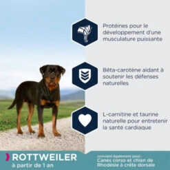Eukanuba Adult Breed Specific Rottweiler 12kg -VERSELE-LAGA || Deli Nature || Duvo Verkoopwinkel eukanuba adult breed specific rottweiler 12kg 3
