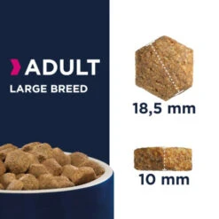 Eukanuba Adult Large Breed Poulet Pour Chien 12kg -VERSELE-LAGA || Deli Nature || Duvo Verkoopwinkel eukanuba adult large breed poulet pour chien 12kg 2