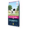 Eukanuba Adult Medium Breed Poulet Pour Chien 12kg