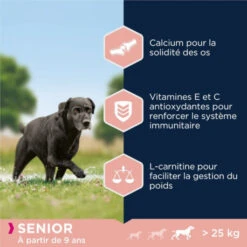 Eukanuba Caring Senior Large Breed Poulet Pour Chien 12kg 7 Eukanuba Caring Senior Large Breed Poulet Pour Chien 12kg -VERSELE-LAGA || Deli Nature || Duvo Verkoopwinkel eukanuba caring senior large breed poulet pour chien 12kg 3