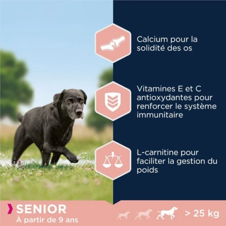 Eukanuba Caring Senior Large Breed Poulet Pour Chien 12kg 4 Eukanuba Caring Senior Large Breed Poulet Pour Chien 12kg - Afbeelding 4
