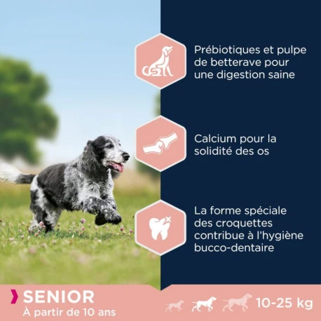 Eukanuba Caring Senior Medium Breed Poulet Pour Chien 12kg 4 Eukanuba Caring Senior Medium Breed Poulet Pour Chien 12kg - Afbeelding 4