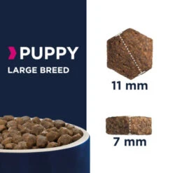 Eukanuba Puppy Large Breed Poulet Pour Chiot 12kg 5 Eukanuba Puppy Large Breed Poulet Pour Chiot 12kg -VERSELE-LAGA || Deli Nature || Duvo Verkoopwinkel eukanuba puppy large breed poulet pour chiot 12kg 2