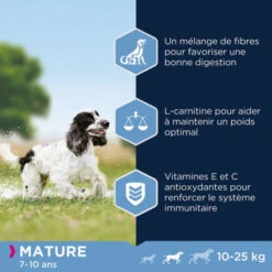Eukanuba Thriving Mature Medium Breed Poulet Pour Chien 12kg -VERSELE-LAGA || Deli Nature || Duvo Verkoopwinkel eukanuba thriving mature medium breed poulet pour chien 12kg 3