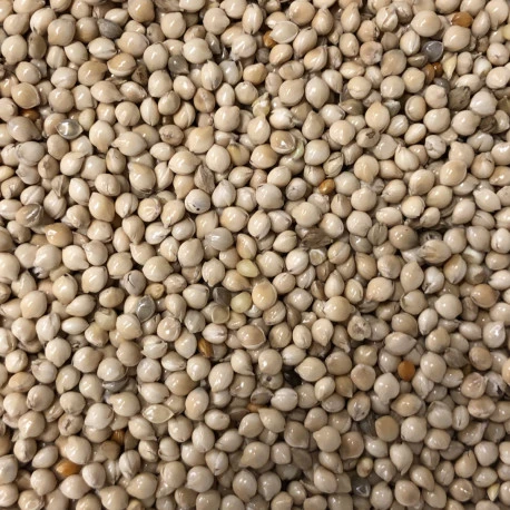 Germix Exotique 4kg 2 Germix Exotique 4kg - Afbeelding 2