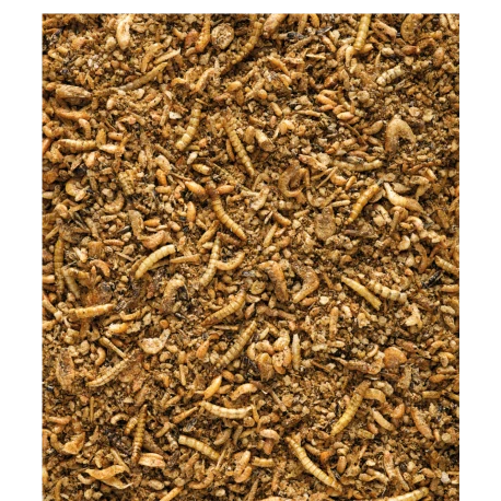 VERSELE-LAGA Insect Patee Premium 2kg - Aliment Complet Pour Tous Les Insectivores 2 VERSELE-LAGA Insect Patee Premium 2kg - Aliment Complet Pour Tous Les Insectivores - Afbeelding 2