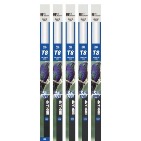 Néon 120cm T8 Bird Lamp 36W - Bird Systems 2 Néon 120cm T8 Bird Lamp 36W - Bird Systems - Afbeelding 2