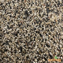 Mélange De Graines Pour Tarins Américains Et Européens 15kg - Hoebre -VERSELE-LAGA || Deli Nature || Duvo Verkoopwinkel melange de graines pour tarins americains et europeens 15kg 2