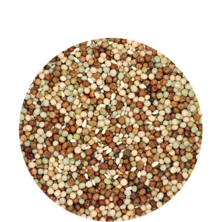 VERSELE-LAGA Mélange Liégeois - 25kg 2 VERSELE-LAGA Mélange Liégeois - 25kg - Afbeelding 2