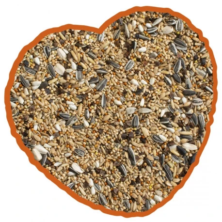 Grandes Perruches Duvo 20 Kg 2 Grandes Perruches Duvo 20 Kg - Afbeelding 2