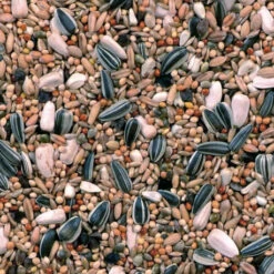 Grandes Perruches Duvo 20 Kg 7 Grandes Perruches Duvo 20 Kg -VERSELE-LAGA || Deli Nature || Duvo Verkoopwinkel melange pour grandes perruches 20 kg duvo 3