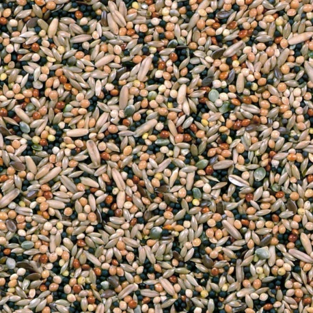 Mélange Volière 20Kg - Duvo 2 Mélange Volière 20Kg - Duvo - Afbeelding 2