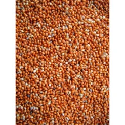 Millet Rouge 20kg