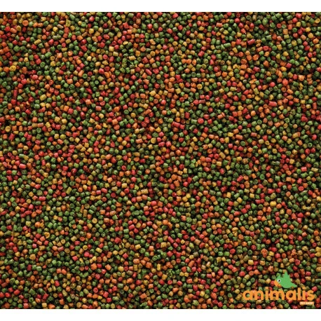 VERSELE-LAGA Nutribird C15 10kg - Aliment D'entretien Pour Canaris, Oiseaux Exotiques Et Indigènes 2 VERSELE-LAGA Nutribird C15 10kg - Aliment D'entretien Pour Canaris, Oiseaux Exotiques Et Indigènes - Afbeelding 2