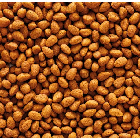 VERSELE-LAGA Nutribird G14 Original 10kg 2 VERSELE-LAGA Nutribird G14 Original 10kg - Afbeelding 2