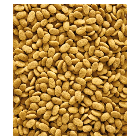 VERSELE-LAGA Nutribird P15 Original 10kg - Granulés Extrudés - Aliment D'entretien Pour Perroquets 2 VERSELE-LAGA Nutribird P15 Original 10kg - Granulés Extrudés - Aliment D'entretien Pour Perroquets - Afbeelding 2