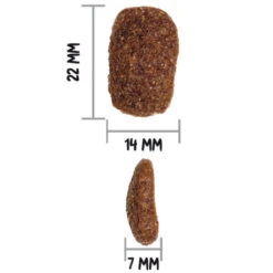 OWNAT Classic Complet Pour Chien Adulte Au Poulet 12kg 7 OWNAT Classic Complet Pour Chien Adulte Au Poulet 12kg -VERSELE-LAGA || Deli Nature || Duvo Verkoopwinkel ownat classic complet pour chien adulte au poulet 12kg 3
