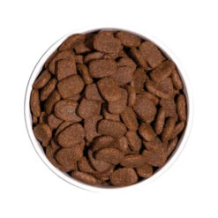 OWNAT Classic Complet Pour Chien Adulte Au Poulet 20kg 6 OWNAT Classic Complet Pour Chien Adulte Au Poulet 20kg -VERSELE-LAGA || Deli Nature || Duvo Verkoopwinkel ownat classic complet pour chien adulte au poulet 20kg 2