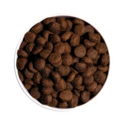 OWNAT Classic Energy Pour Chien Adulte Actif Au Poulet 20kg -VERSELE-LAGA || Deli Nature || Duvo Verkoopwinkel ownat classic energy pour chien adulte actif au poulet 20kg 2