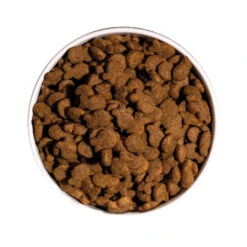 OWNAT Classic Fish Pour Chien Adulte Au Poisson 4kg 6 OWNAT Classic Fish Pour Chien Adulte Au Poisson 4kg -VERSELE-LAGA || Deli Nature || Duvo Verkoopwinkel ownat classic fish pour chien adulte au poisson 4kg 2