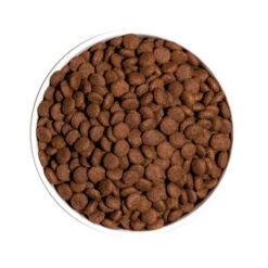 OWNAT Classic Junior Pour Chiot 12kg -VERSELE-LAGA || Deli Nature || Duvo Verkoopwinkel ownat classic junior pour chiot 12kg 2