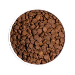 OWNAT Classic Mini Adult Pour Chien Adulte De Petite Taille 4kg -VERSELE-LAGA || Deli Nature || Duvo Verkoopwinkel ownat classic mini adult pour chien adulte de petite taille 4kg 2