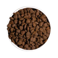 OWNAT Just Grain Free Adult Sans Céréales Au Poulet Pour Chien Adulte 14kg -VERSELE-LAGA || Deli Nature || Duvo Verkoopwinkel ownat just grain free adult sans cereales au poulet pour chien adulte 14kg 2