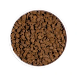 OWNAT Just Grain Free Truite Pour Chien 14kg 6 OWNAT Just Grain Free Truite Pour Chien 14kg -VERSELE-LAGA || Deli Nature || Duvo Verkoopwinkel ownat just grain free truite pour chien 14kg 2