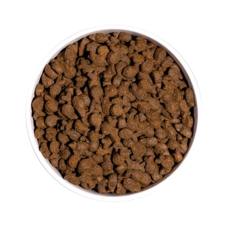 OWNAT Just Grain Free Truite Pour Chien 14kg 3 OWNAT Just Grain Free Truite Pour Chien 14kg - Afbeelding 3