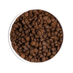 OWNAT PRIME Grain Free Adult Mini Sans Céréales Au Poulet & Dinde Pour Petit Chien Adulte 3kg -VERSELE-LAGA || Deli Nature || Duvo Verkoopwinkel ownat prime grain free adult mini sans cereales au poulet dinde pour petit chien adulte 3kg 2