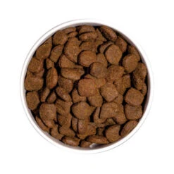OWNAT PRIME Grain Free Senior Sans Céréales Au Poulet & Dinde Pour Chien âgé 3kg -VERSELE-LAGA || Deli Nature || Duvo Verkoopwinkel ownat prime grain free senior sans cereales au poulet dinde pour chien age 3kg 2