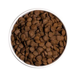 OWNAT ULTRA Medium Junior Pour Chiot De Taille Moyenne 3kg 6 OWNAT ULTRA Medium Junior Pour Chiot De Taille Moyenne 3kg -VERSELE-LAGA || Deli Nature || Duvo Verkoopwinkel ownat ultra medium junior pour chiot de taille moyenne 3kg 2