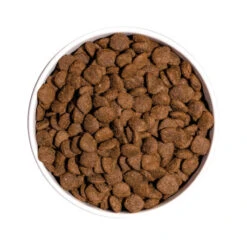 OWNAT ULTRA Medium Sterilized Pour Chien Adulte Stérilisé 3kg 6 OWNAT ULTRA Medium Sterilized Pour Chien Adulte Stérilisé 3kg -VERSELE-LAGA || Deli Nature || Duvo Verkoopwinkel ownat ultra medium sterilized pour chien adulte sterilise 3kg 2