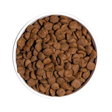 OWNAT ULTRA Medium Sterilized Pour Chien Adulte Stérilisé 3kg 3 OWNAT ULTRA Medium Sterilized Pour Chien Adulte Stérilisé 3kg - Afbeelding 3