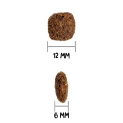 OWNAT ULTRA Medium Sterilized Pour Chien Adulte Stérilisé 3kg 7 OWNAT ULTRA Medium Sterilized Pour Chien Adulte Stérilisé 3kg -VERSELE-LAGA || Deli Nature || Duvo Verkoopwinkel ownat ultra medium sterilized pour chien adulte sterilise 3kg 3