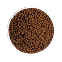 OWNAT ULTRA Mini Junior Pour Chiot De Petite Taille 3kg 6 OWNAT ULTRA Mini Junior Pour Chiot De Petite Taille 3kg -VERSELE-LAGA || Deli Nature || Duvo Verkoopwinkel ownat ultra mini junior pour chiot de petite taille 3kg 2