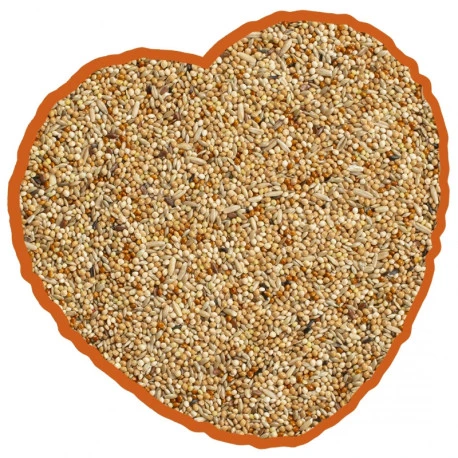 Petites Perruches Duvo 20Kg 2 Petites Perruches Duvo 20Kg - Afbeelding 2