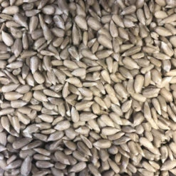 VERSELE-LAGA Tournesol Pelé 25 Kg