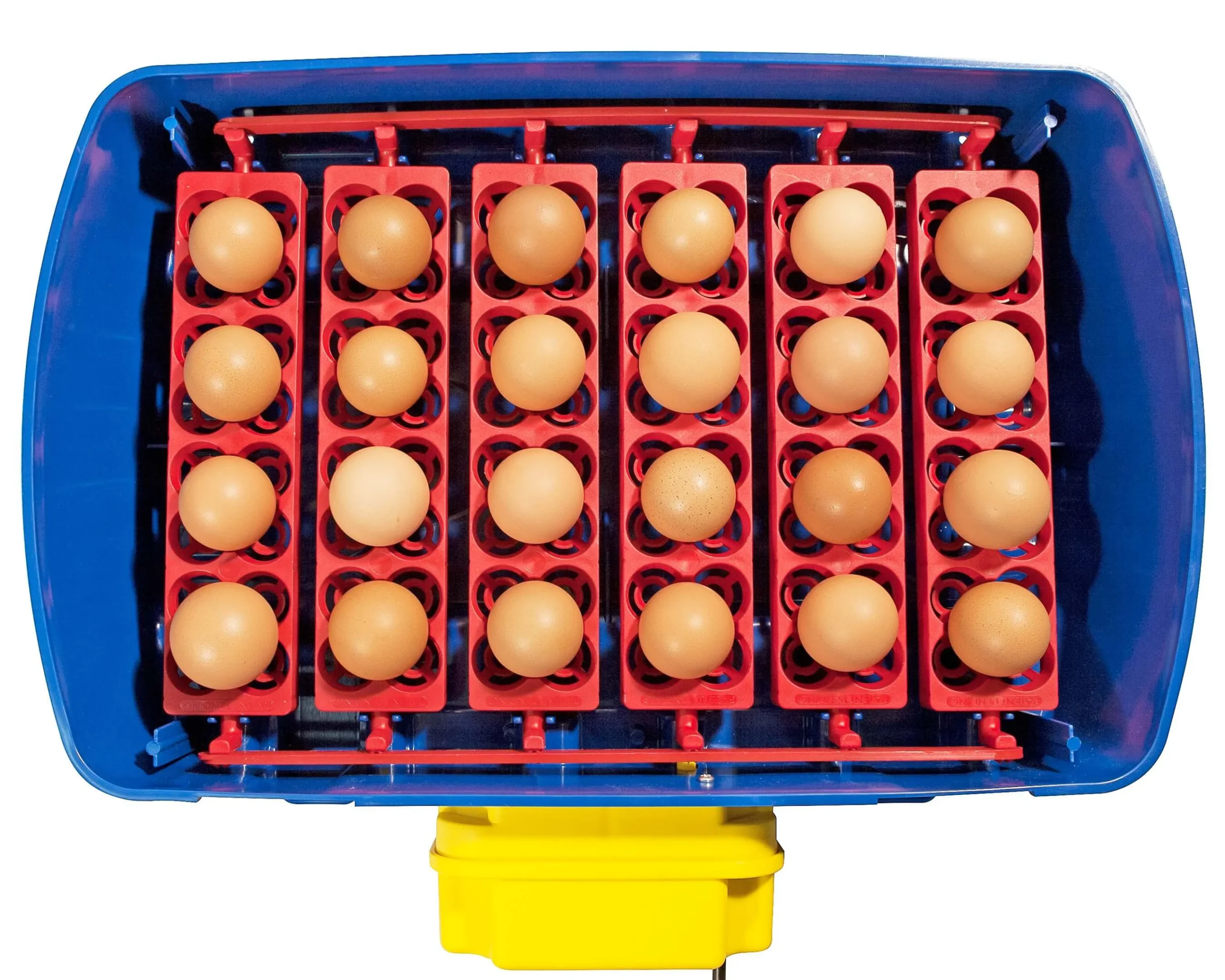 VERSELE-LAGA || Deli Nature || Duvo Verkoopwinkel 21 VERSELE-LAGA || Deli Nature || Duvo Verkoopwinkel -VERSELE-LAGA || Deli Nature || Duvo Verkoopwinkel couveuse borotto real 24 oeufs automatique couveuses borotto scaled